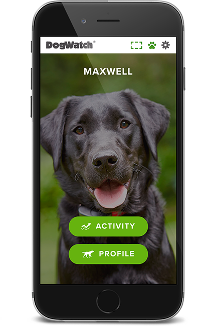 DogWatch of Colorado, Englewood, Colorado | SmartFence WebApp Image