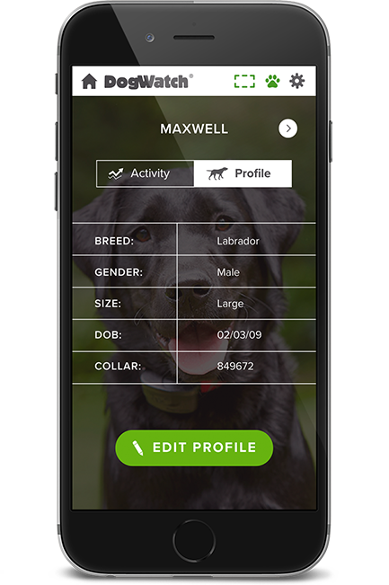 DogWatch of Colorado, Englewood, Colorado | SmartFence WebApp Image