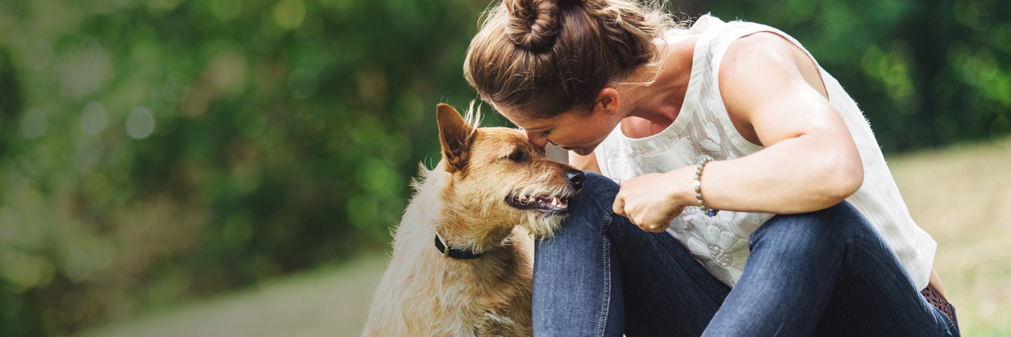 DogWatch of Colorado, Englewood, Colorado | BarkCollar No-Bark Trainer Slider Image