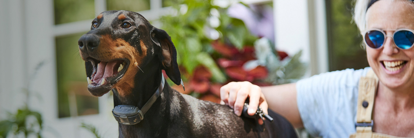 DogWatch of Colorado, Englewood, Colorado | Remote Dog Training Collars Slider Image