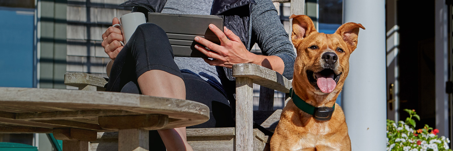 DogWatch of Colorado, Englewood, Colorado | ProFence Slider Image